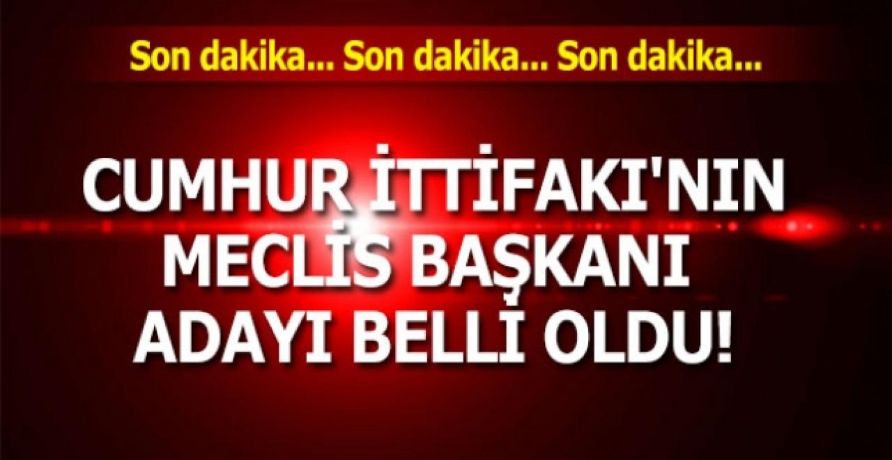 Cumhur İttifakı'nın Meclis Başkanı adayı belli oldu!