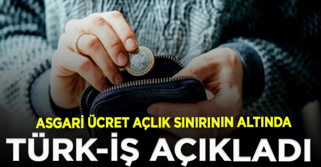 Türk-İş açlık ve yoksulluk sınırı araştırmasını paylaştı