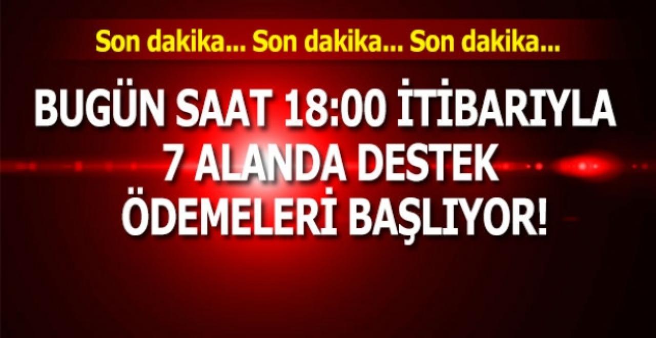 Bugün saat 18:00 itibarıyla 7 alanda destek ödemeleri başlıyor!