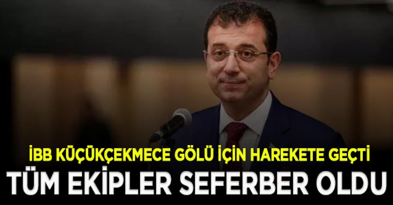 İBB, Küçükçekmece Gölü'nde yaşanan balık ölümleri üzerine harekete geçti