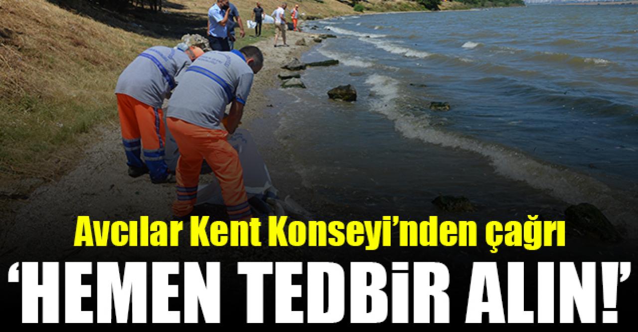 Avcılar Kent Konseyi: Hemen tedbir alın