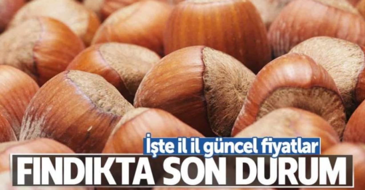 4 Temmuz Cumartesi fındık kaç lira? | Güncel fındık fiyatları