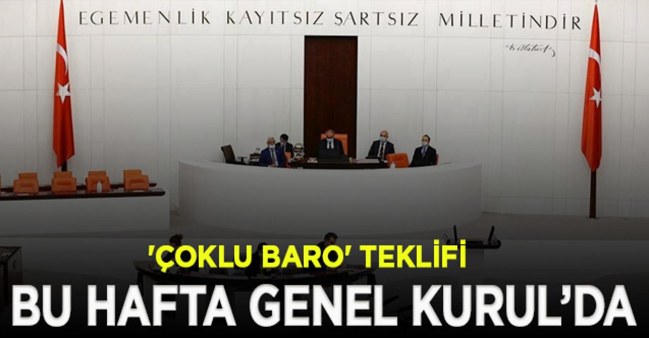 'Çoklu baro' Genel Kurul'a geliyor