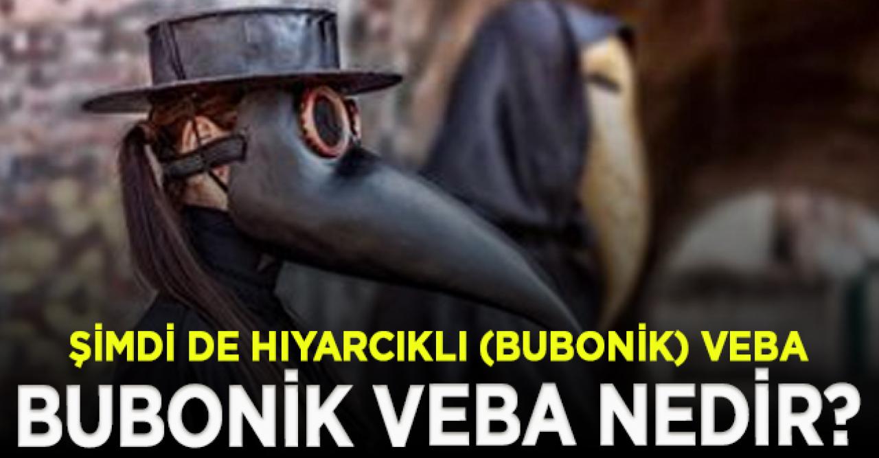 Hıyarcıklı (bubonik) veba nedir, nasıl bulaşır?