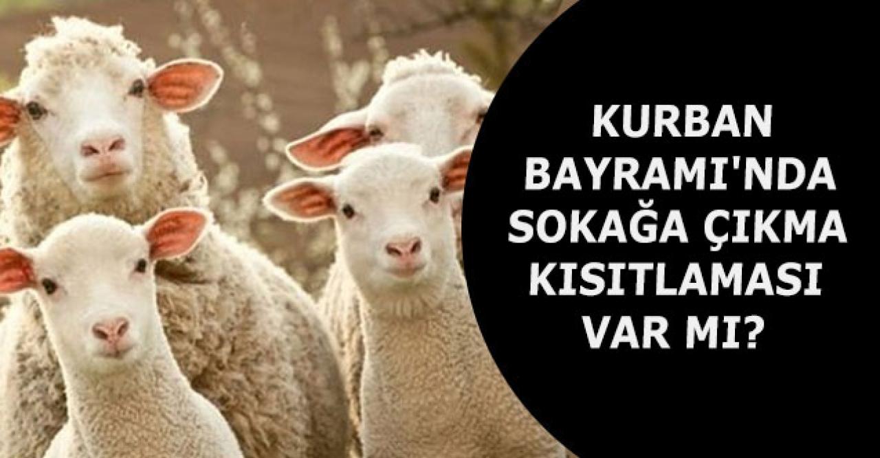 Bakan Koca yanıt verdi: Kurban Bayramı'nda sokağa çıkma kısıtlaması mı?