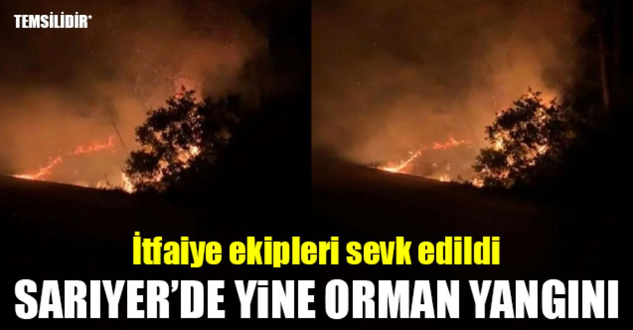 Son dakika... Sarıyer'de bir orman yangını daha