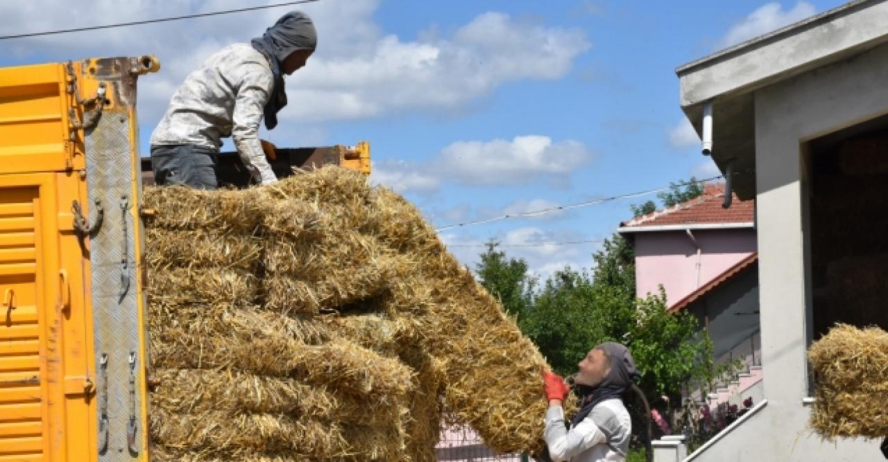 Silivri'de köy köy saman dağıtılıyor