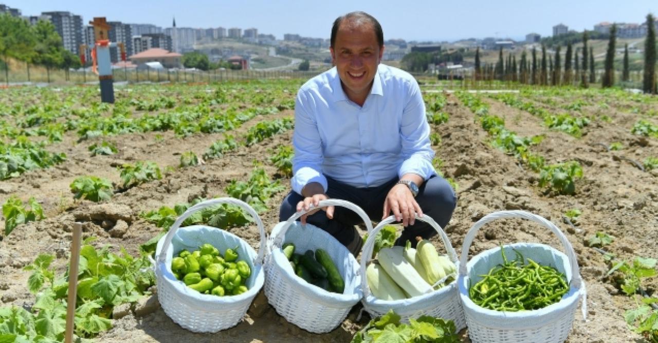 Beylikdüzü'nde bahçeden sofraya