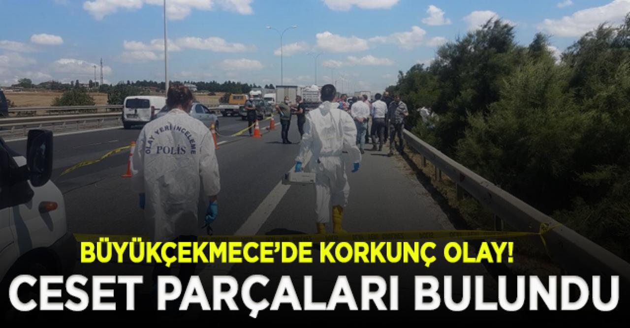 Büyükçekmece'de dehşet! Ceset parçaları bulundu