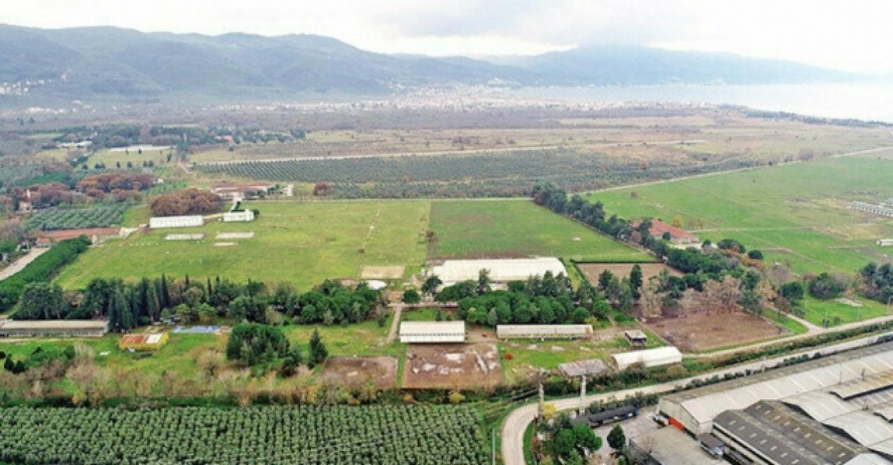 Varank, yerli otomobilin üretileceği fabrikanın temelinin atılacağı tarihi açıkladı