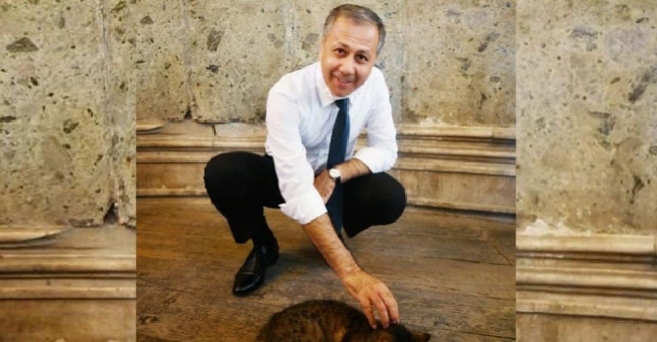 Vali Yerlikaya'dan kedi 'Gli' paylaşımı