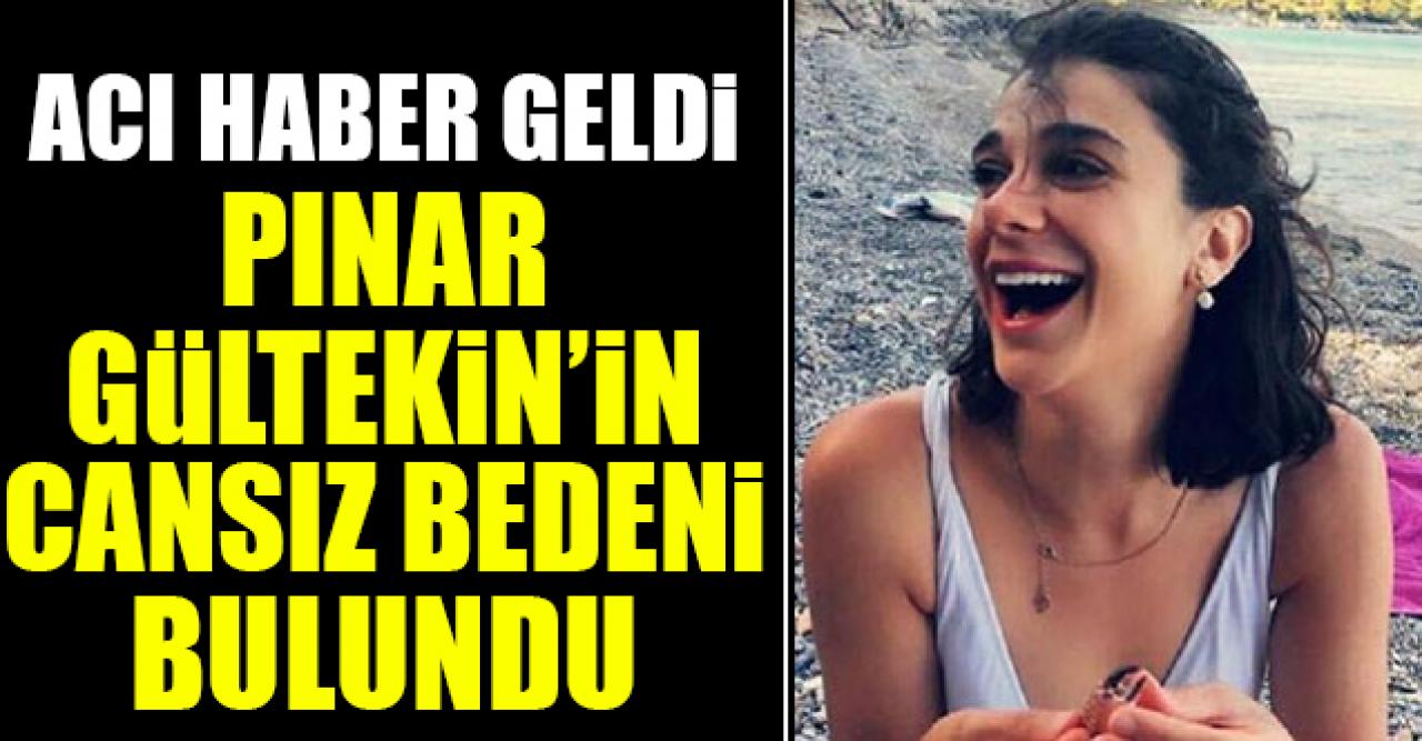 Pınar Gültekin'den acı haber: Cansız bedeni bulundu! Pınar Gültekin kimdir?