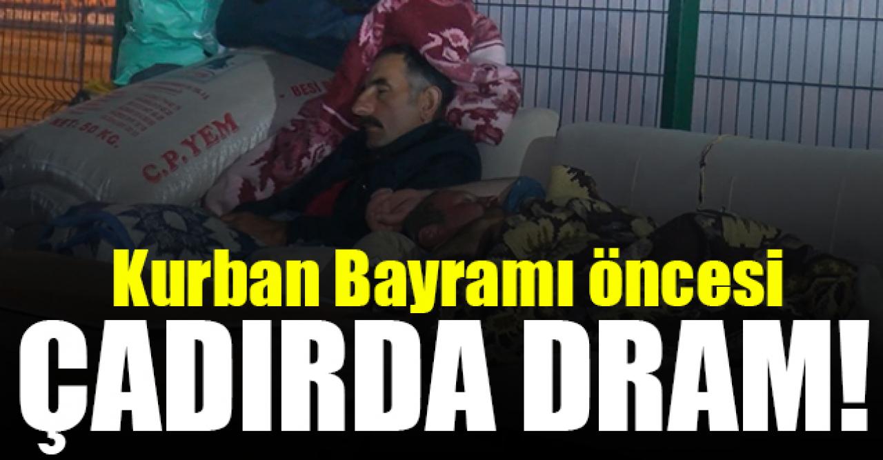 Çadırda dram