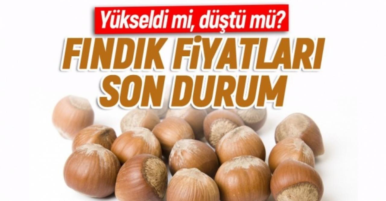 11 Ağustos Salı fındık kaç lira? | Son dakika fındık fiyatları