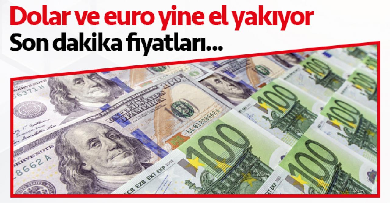 11 Ağustos Salı dolar ve euro kaç lira? Son dakika fiyatları...