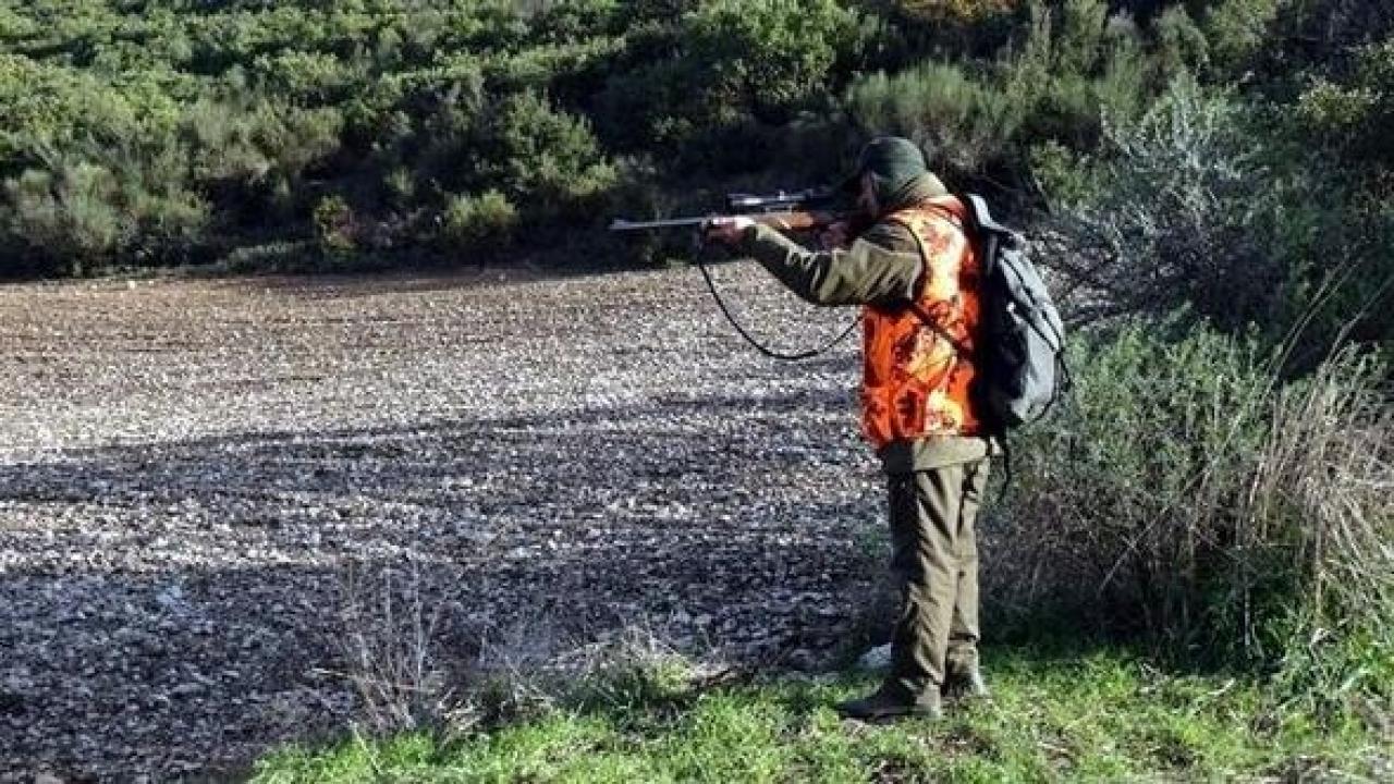 Av turizmi kapsamında 'kotalar' belli oldu: 798 yaban hayvanı ücret karşılığı öldürülecek!