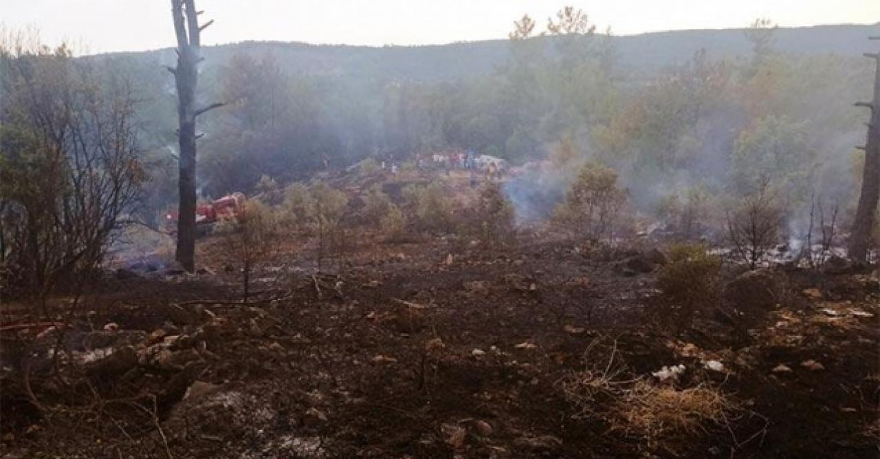 Muğla Menteşe'de korkutan yangın