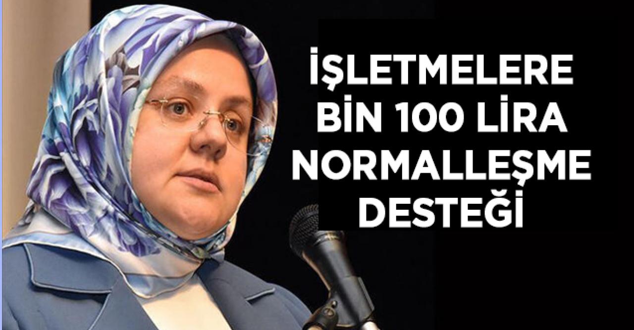 Bakan Selçuk'tan "Normalleşme Desteği" açıklaması