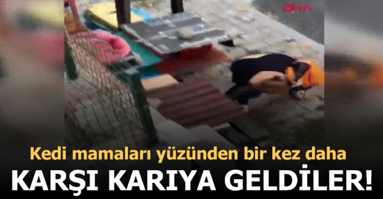 Kedi mamaları yüzünden tartışan iki kadın yine karşı karşıya geldi!