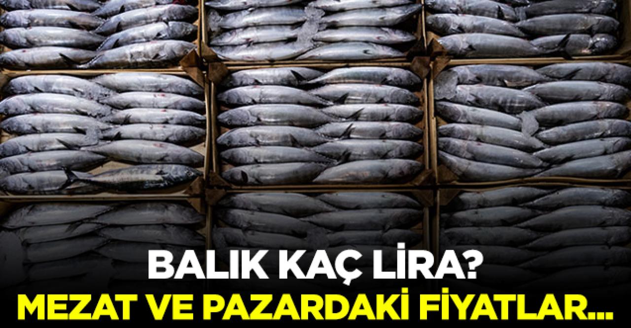 Balık kaç lira? Mezat ve pazardaki fiyatlar belli oldu!