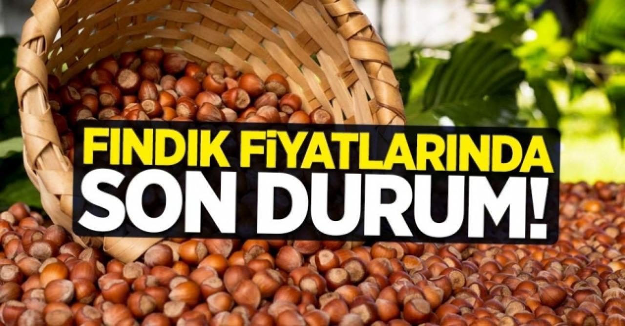 3 Eylül Perşembe fındık kaç lira? | Son dakika fındık fiyatları