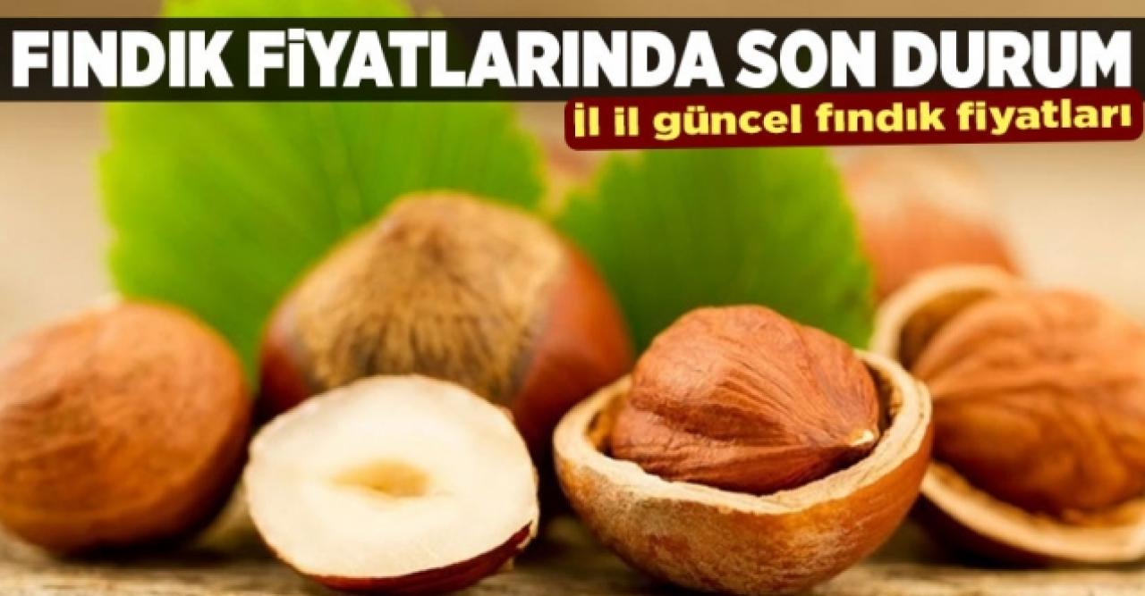 12 Eylül Cumartesi fındık kaç lira? | Son dakika fındık fiyatları