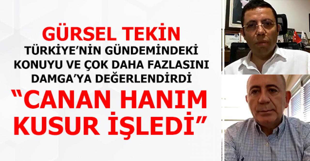 Gürsel Tekin: Canan Hanım kusur işledi!