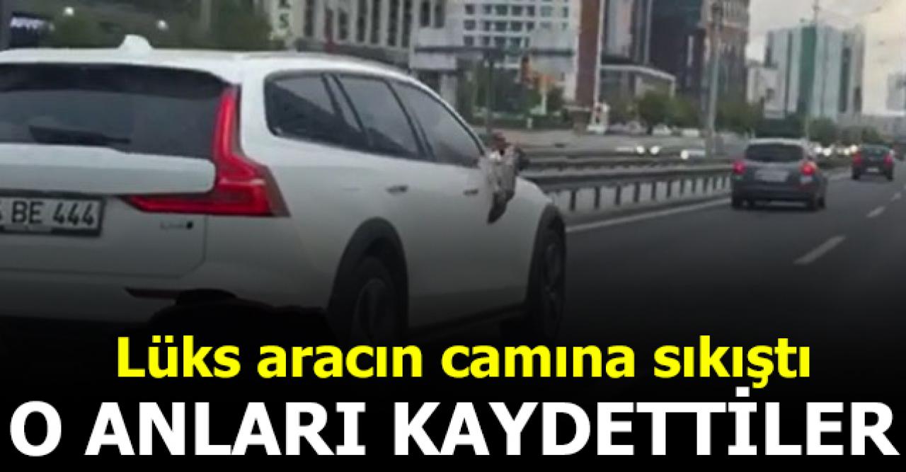 Lüks aracın camına martı sıkıştı