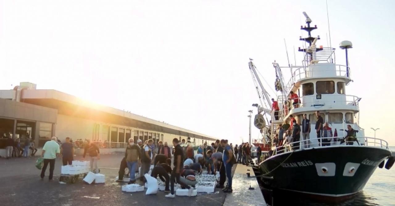 İstanbul’dan Karadeniz'e hamsi gidiyor