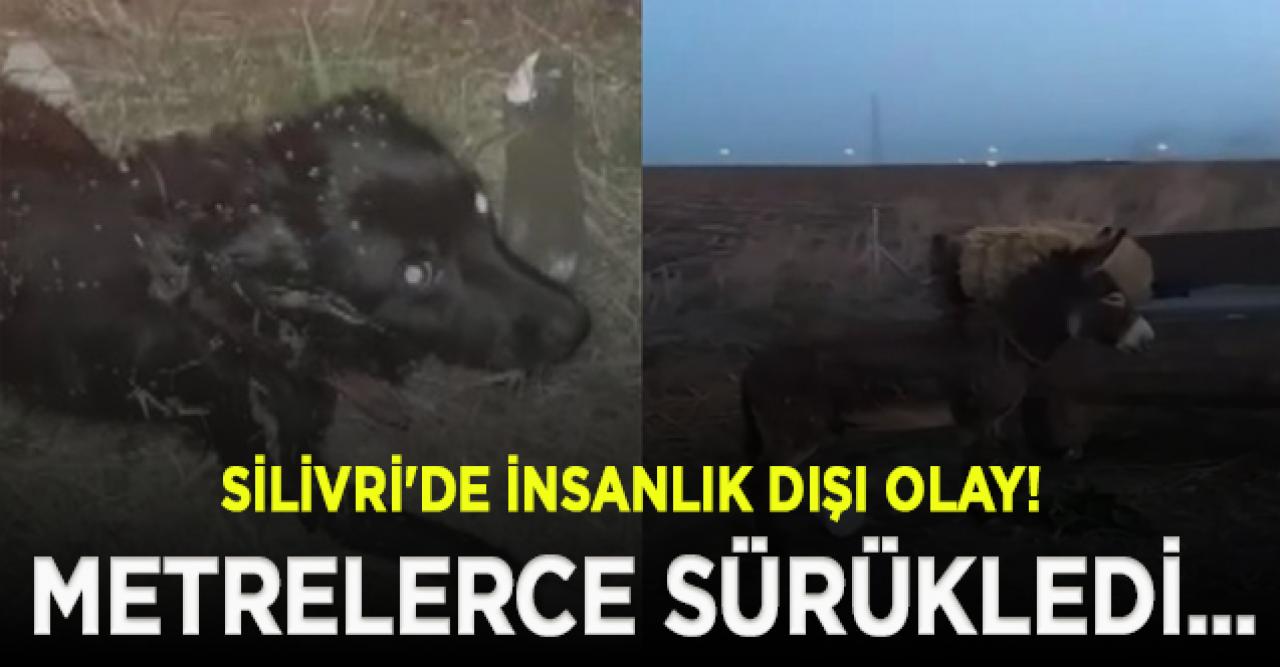 Silivri'de insanlık dışı olay! Köpek ve eşeği traktörün arkasında metrelerce sürükledi