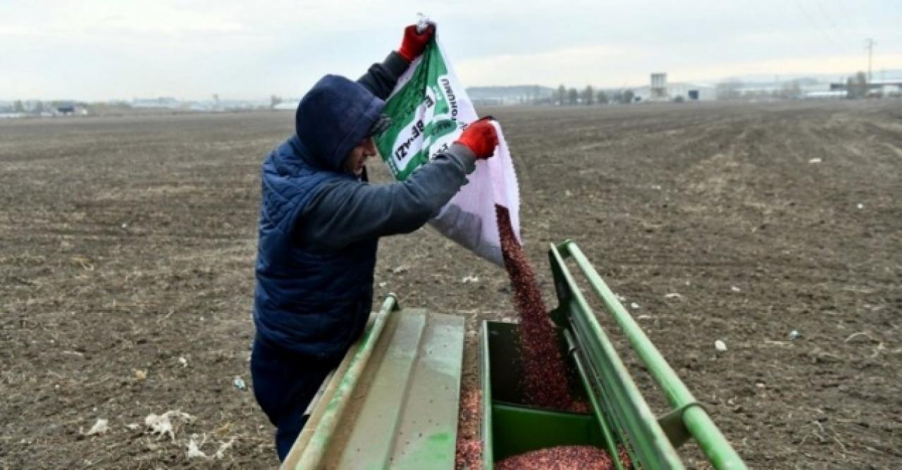 Ankara Büyükşehir Belediyesi'nden çiftçilere tohum desteği