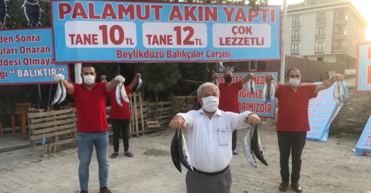 Palamut bollaştı, fiyatlar düştü