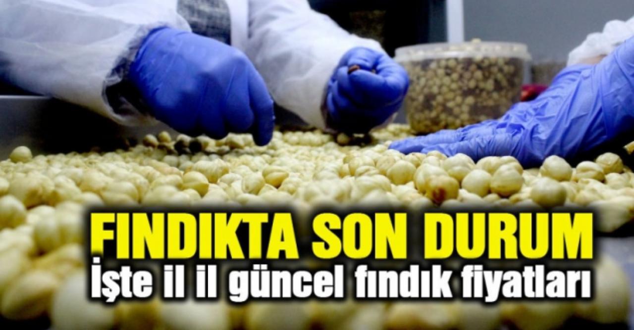 8 Ekim Perşembe fındık kaç lira? | Son dakika fındık fiyatları