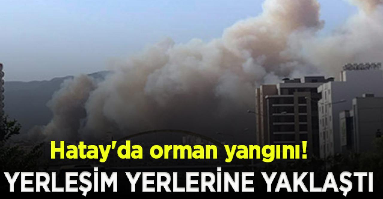 Hatay'da orman yangını; yerleşim yerlerine yaklaştı