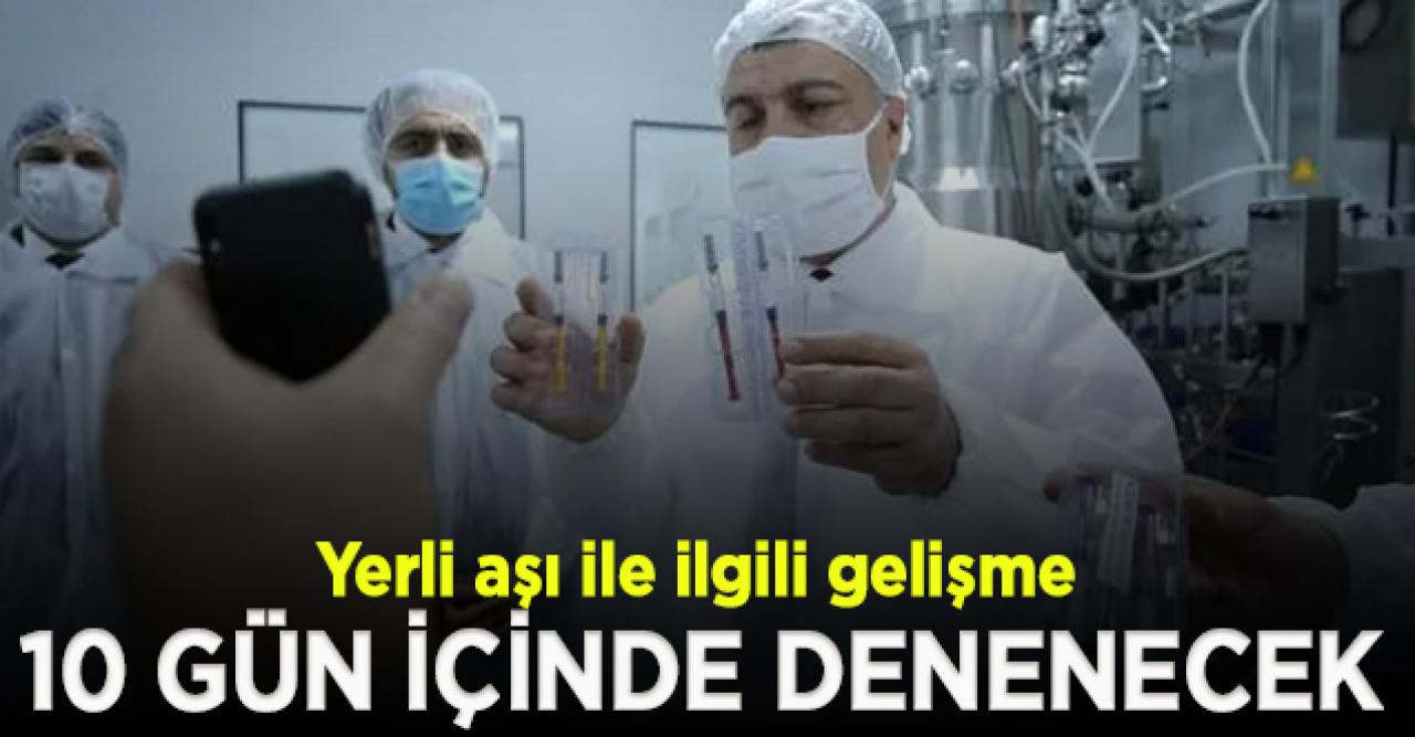 'Yerli aşı'da gelişme: 10 gün içinde insan üzerinde denenebilecek