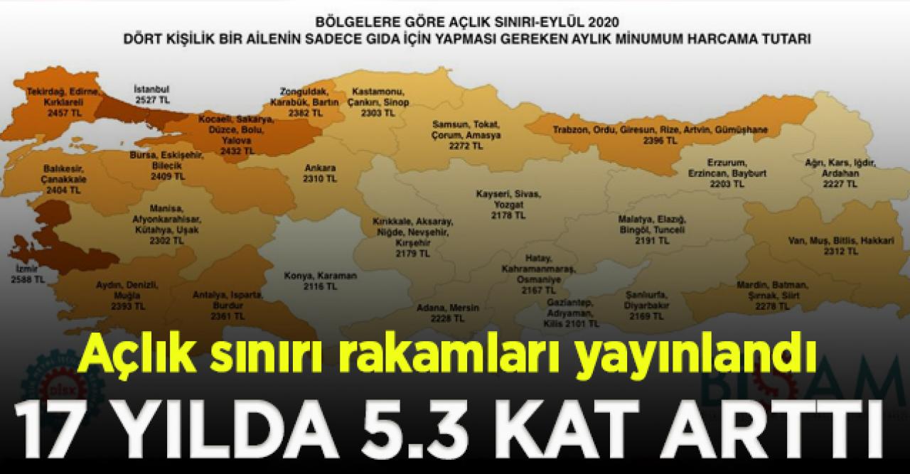 BİSAM'dan açlık sınırı raporu: 17 yılda 5.3 kat arttı