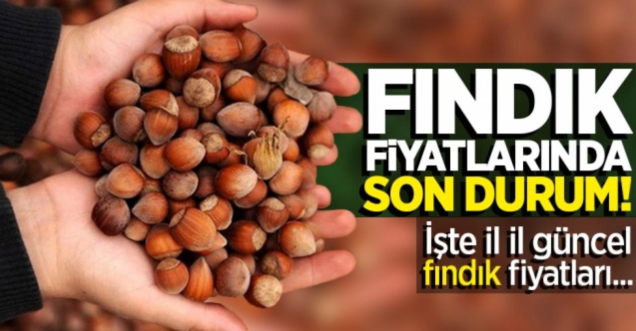 Fındık fiyatları ne kadar oldu? 20 Ekim Salı serbest piyasada fındık fiyatları 2020