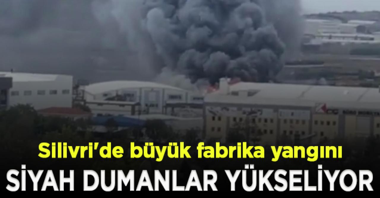 Silivri'de büyük fabrika yangını!