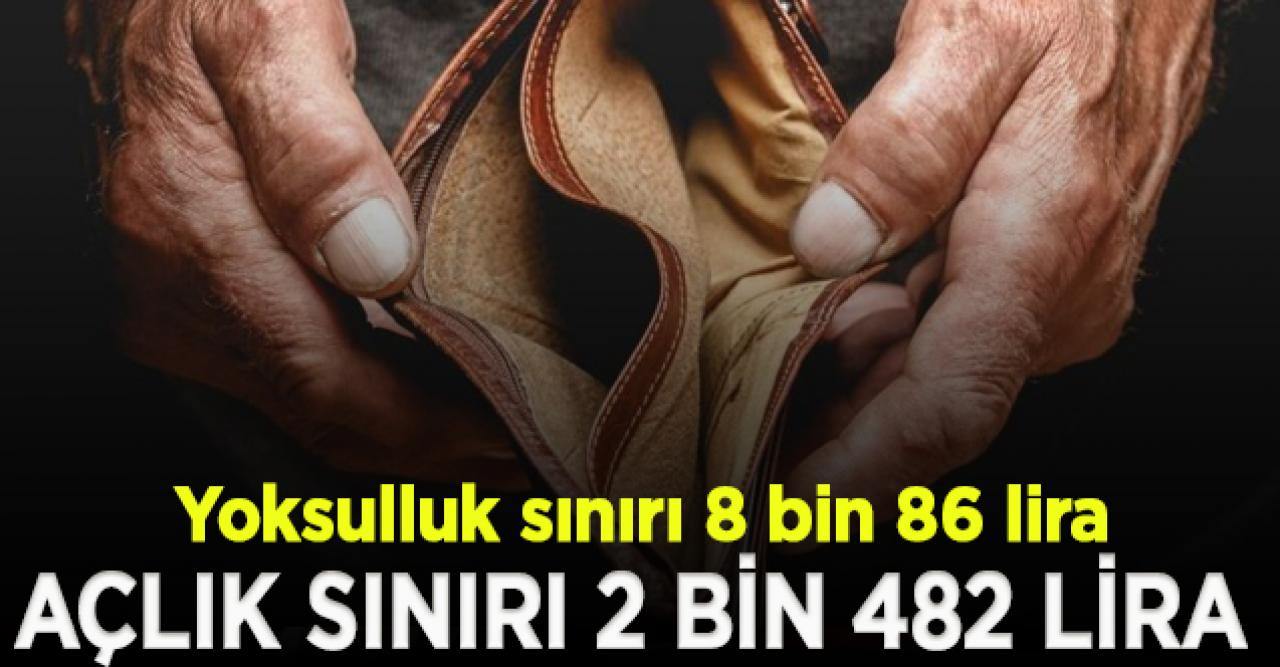 Açlık sınırı 2 bin 482, yoksulluk sınırı 8 bin 86 lira