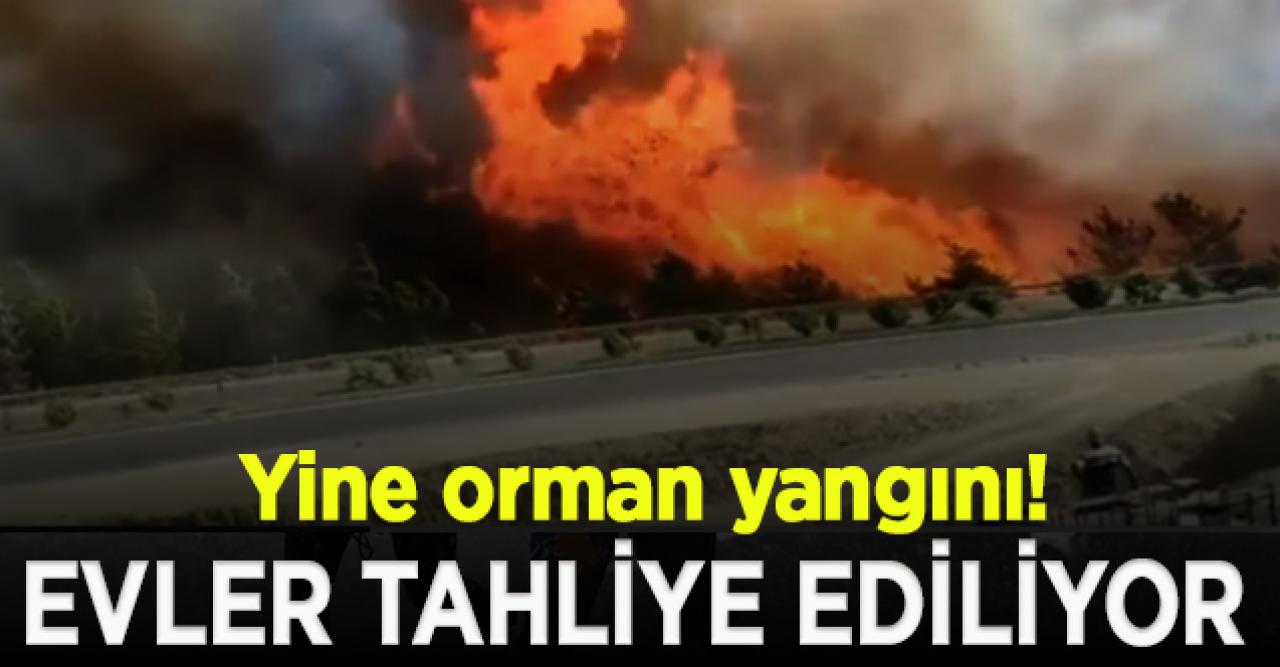 Anamur'da yerleşim yeri yakınında orman yangını! Evler tahliye edildi