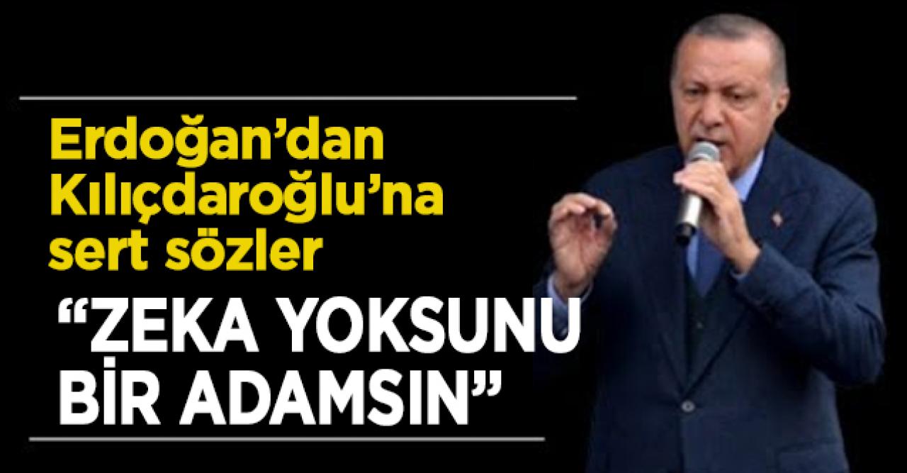 Erdoğan'dan yeni harekat mesajı! Kılıçdaroğlu'na tepki: Sen ne zekasız...