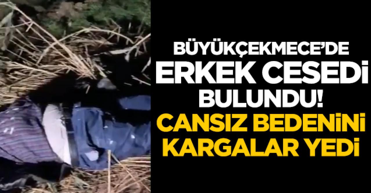 Büyükçekmece'de erkek cesedi bulundu! Cansız bedenini kargalar yedi