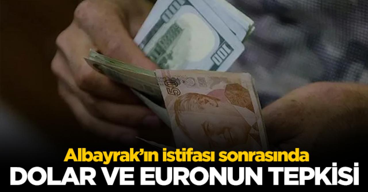 Berat Albayrak'ın istifası sonrası dolar ve euro kaç lira? 9 Kasım döviz fiyatları