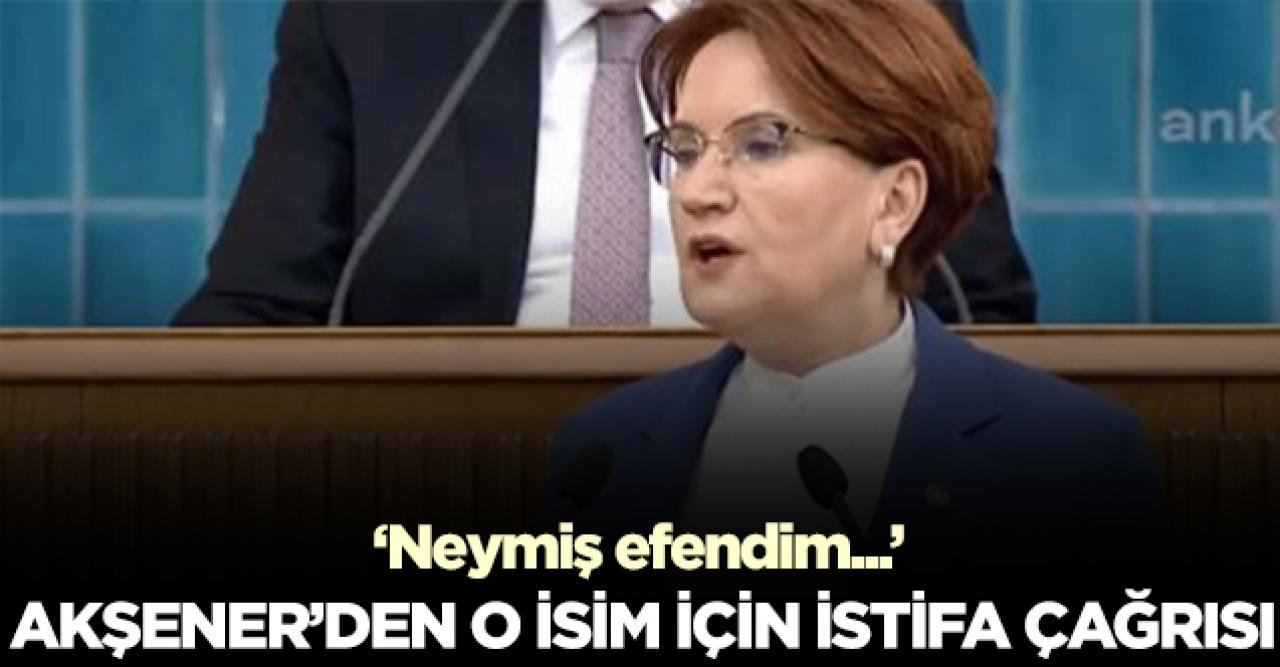 İYİ Parti Genel Başkanı Meral Akşener, Takım Bakanı Pakdemirli'nin istifasını istedi