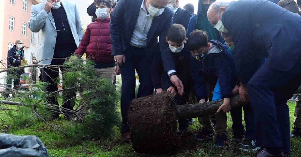 Saat 11.11’de  111 ağaç dikildi