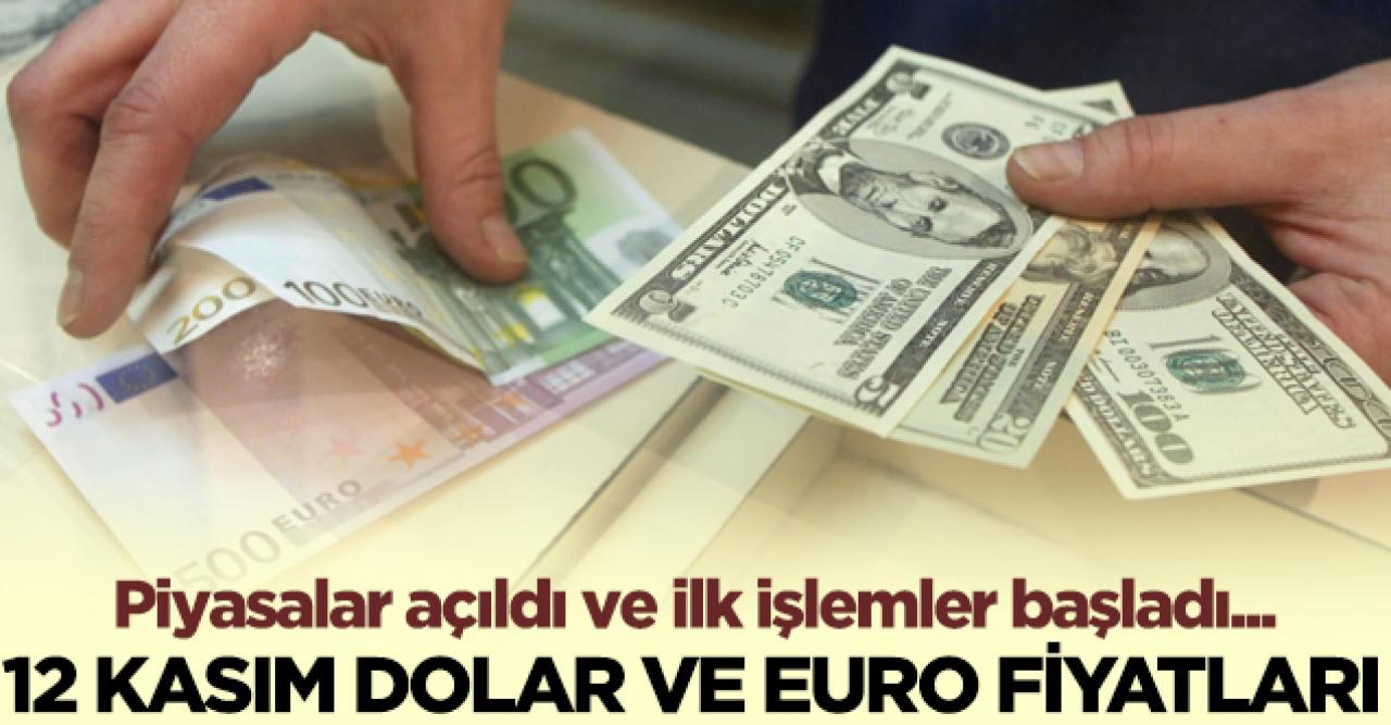 12 Kasım Perşembe dolar ve euro kaç lira? Döviz alış ve satış fiyatları