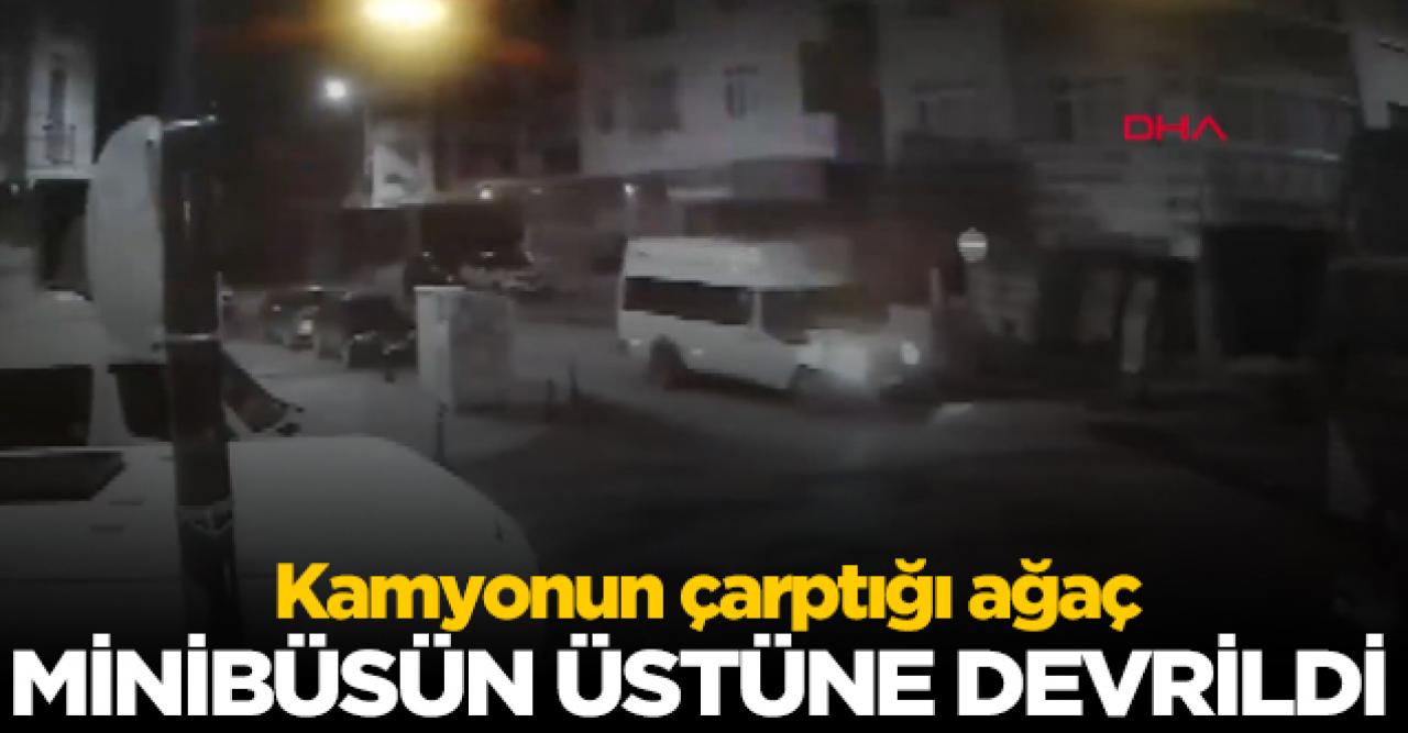 Kamyonun çarptığı ağaç minibüsün üstüne devrildi