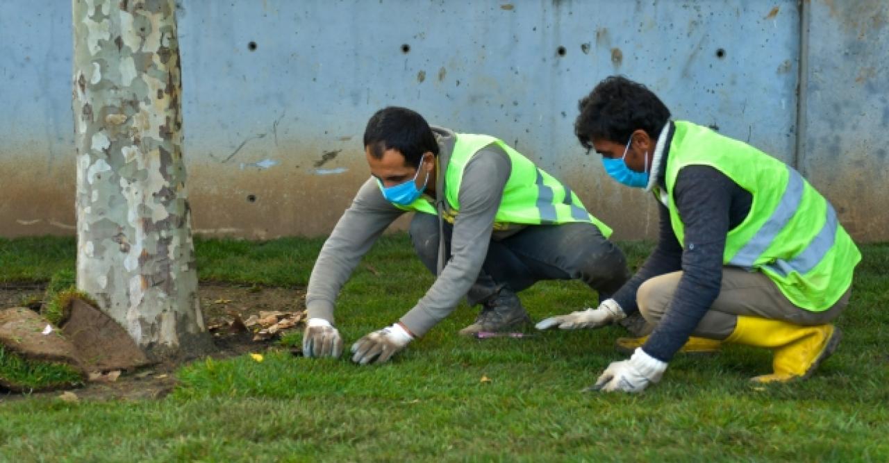 Hem bakım hem budama