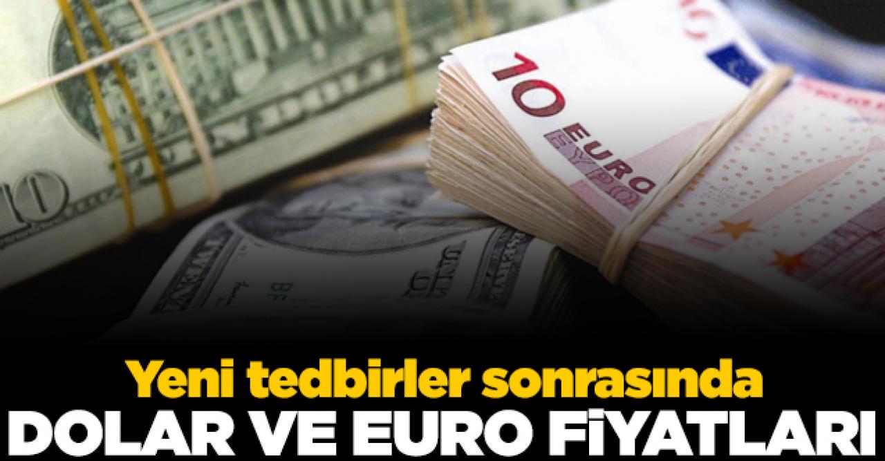 1 Aralık 2020 Salı döviz fiyatları | Dolar ve euro kaç lira?