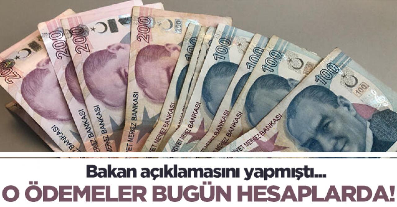 Sosyal ve Ekonomik Destek Hizmeti (SED) ödemeleri hesaplara yatırıldı